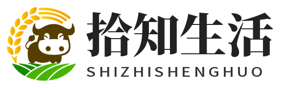 拾知生活 | 实用生活技巧·科普知识·日常好物分享，让生活更省心